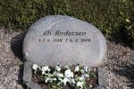 Eli Andersen.JPG